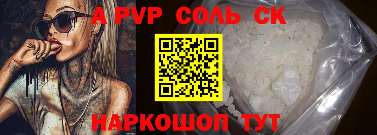 APVP СК Электрогорск