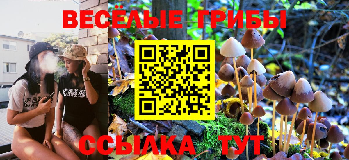 Псилоцибиновые грибы Magic Shrooms Электрогорск