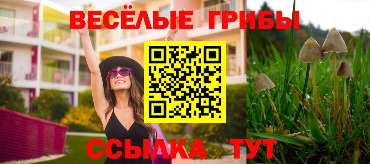 Электрогорск  Псилоцибиновые грибы мухоморы  Галлюциногенные грибы ЛСД  Вход с VPN 